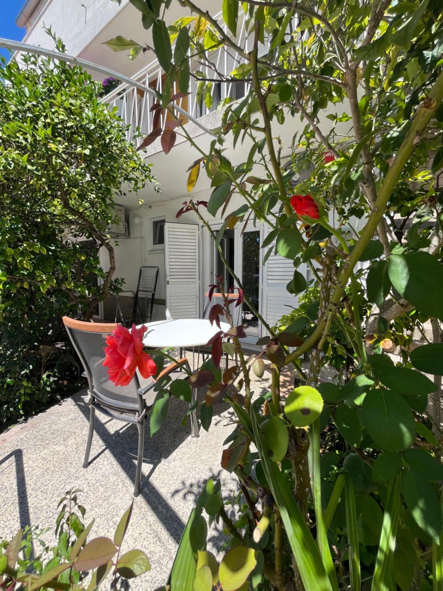 Green Oasis For Two, 30 Meters From Sea Διαμέρισμα Ζαντάρ Εξωτερικό φωτογραφία
